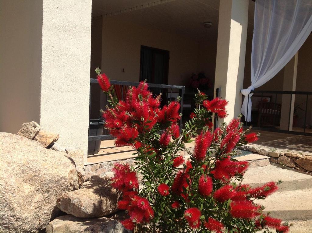 Brise Marine Hotell Bonifacio  Eksteriør bilde